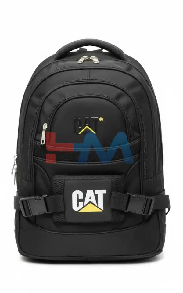 Cat School/Travel Bag