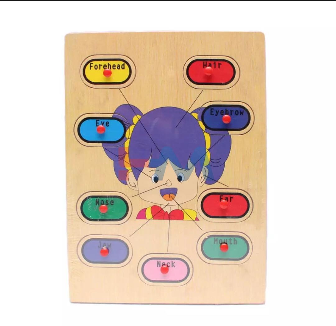 Wooden Puzzle-Learn Body Parts Name and Location