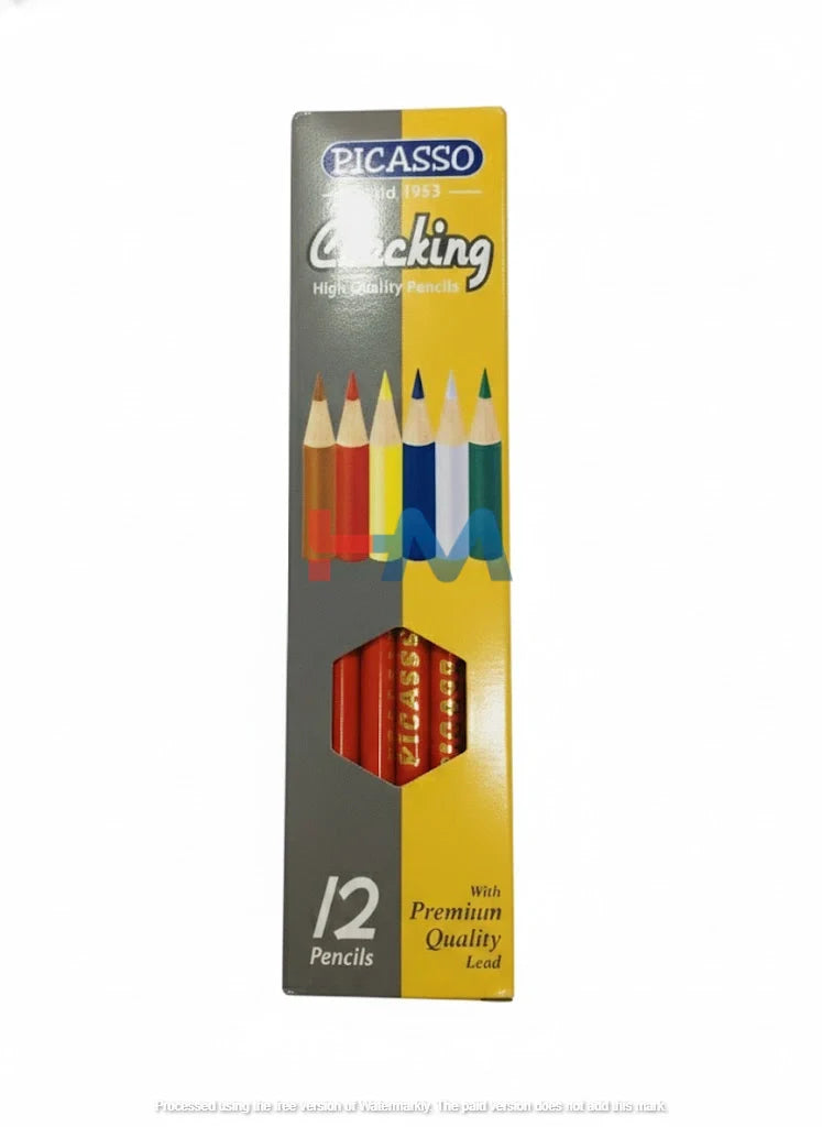 Picasso Checking Pencil Pack Of 12
