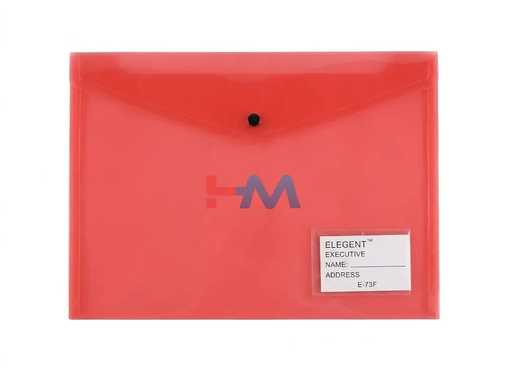 My Clear Bag Transparent A3 Size Folder