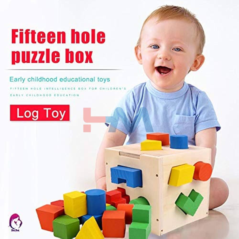 Educational Fifteen Hole Shape Intelligence Box